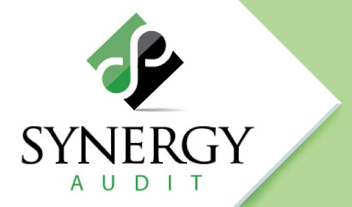 Synergy Audit Specialists
